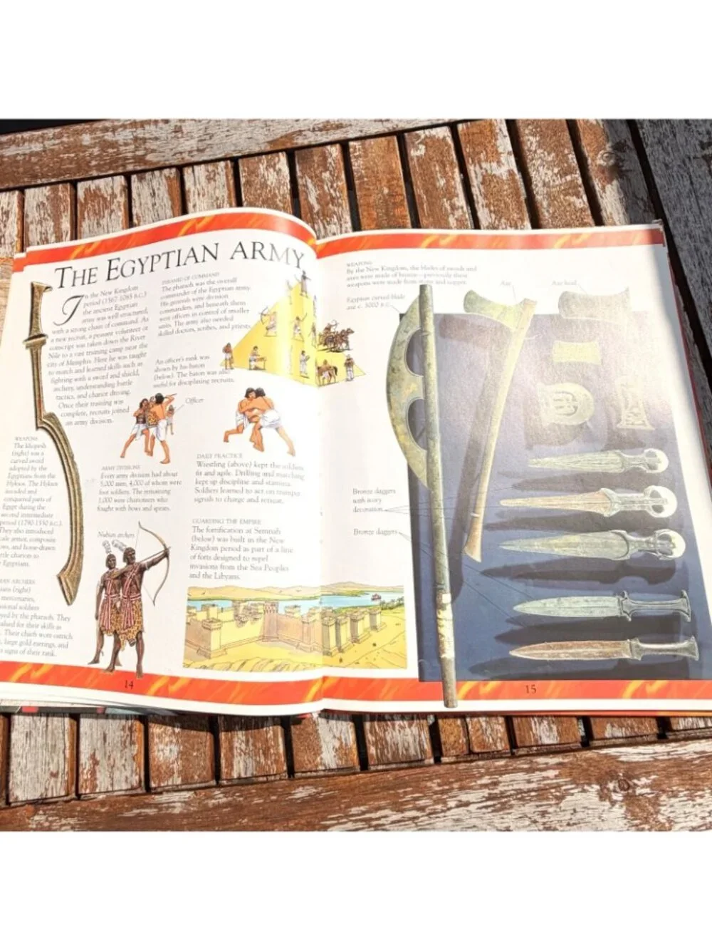 Warfare in the Ancient World Egypt Greece Rome Mark Bergin Homeschool History